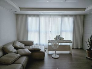Double Pleated Day and Night Curtain