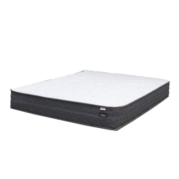 dreamster-cosmos-individual-pocketed-spring-mattress
